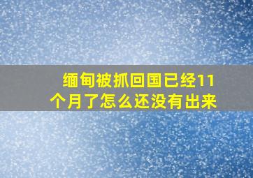 缅甸被抓回国已经11个月了怎么还没有出来