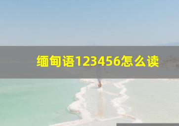 缅甸语123456怎么读