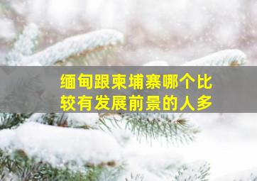 缅甸跟柬埔寨哪个比较有发展前景的人多