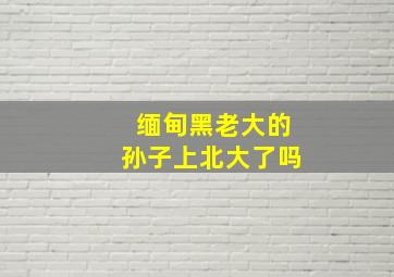 缅甸黑老大的孙子上北大了吗