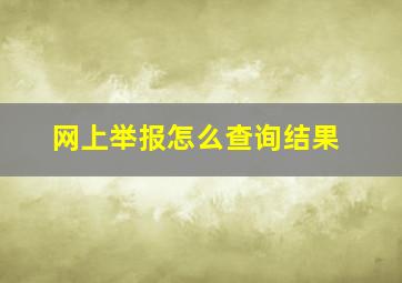 网上举报怎么查询结果