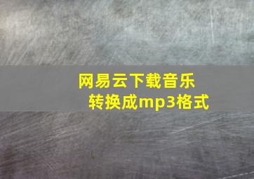 网易云下载音乐转换成mp3格式