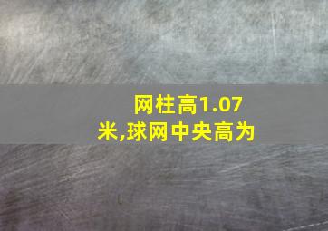 网柱高1.07米,球网中央高为