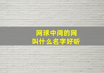 网球中间的网叫什么名字好听