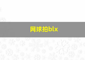 网球拍blx