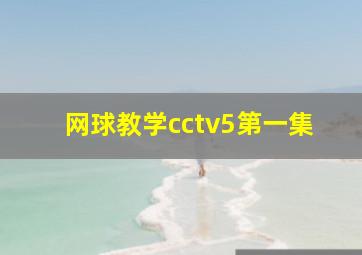 网球教学cctv5第一集