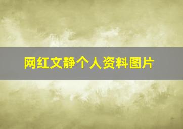 网红文静个人资料图片