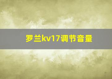 罗兰kv17调节音量