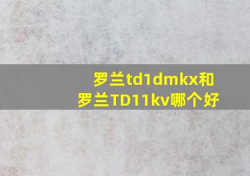 罗兰td1dmkx和罗兰TD11kv哪个好