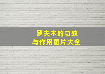 罗夫木的功效与作用图片大全