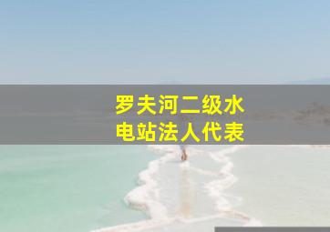 罗夫河二级水电站法人代表