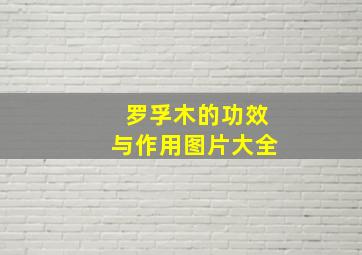 罗孚木的功效与作用图片大全