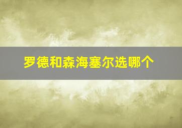 罗德和森海塞尔选哪个