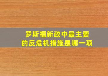 罗斯福新政中最主要的反危机措施是哪一项