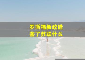 罗斯福新政借鉴了苏联什么