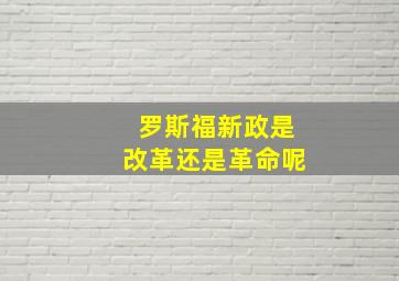 罗斯福新政是改革还是革命呢