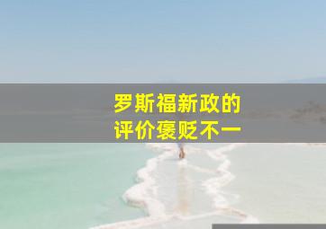 罗斯福新政的评价褒贬不一