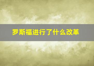 罗斯福进行了什么改革