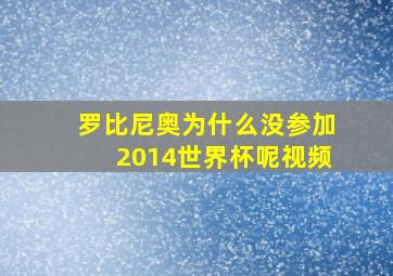 罗比尼奥为什么没参加2014世界杯呢视频