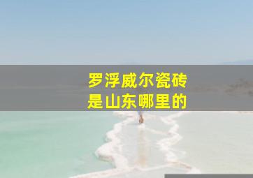 罗浮威尔瓷砖是山东哪里的