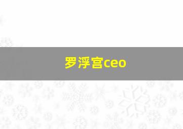 罗浮宫ceo