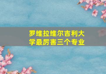 罗维拉维尔吉利大学最厉害三个专业