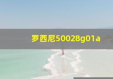 罗西尼50028g01a