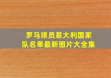 罗马球员意大利国家队名单最新图片大全集