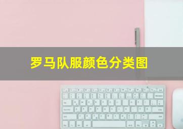 罗马队服颜色分类图