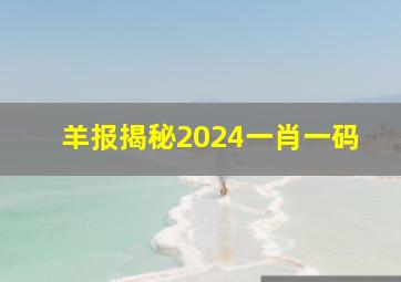 羊报揭秘2024一肖一码