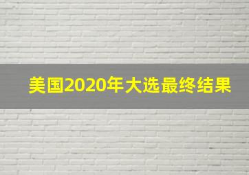 美国2020年大选最终结果