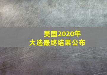 美国2020年大选最终结果公布