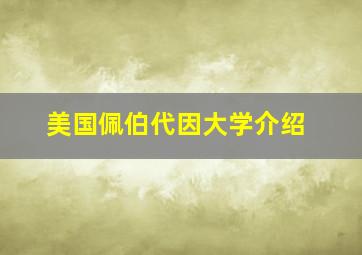 美国佩伯代因大学介绍