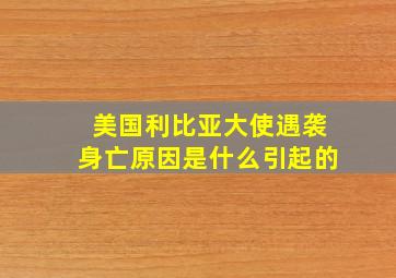 美国利比亚大使遇袭身亡原因是什么引起的