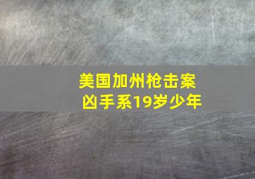 美国加州枪击案凶手系19岁少年