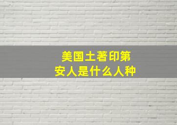 美国土著印第安人是什么人种