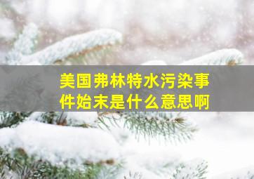 美国弗林特水污染事件始末是什么意思啊