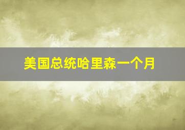 美国总统哈里森一个月