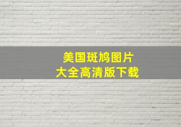 美国斑鸠图片大全高清版下载