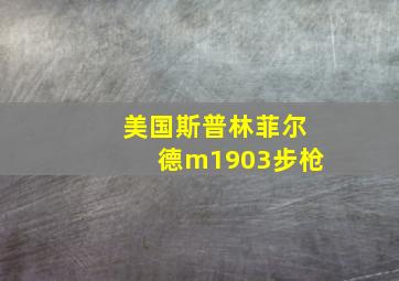 美国斯普林菲尔德m1903步枪