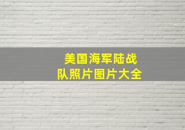 美国海军陆战队照片图片大全