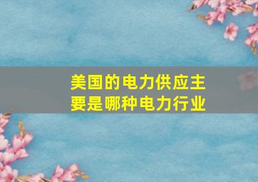 美国的电力供应主要是哪种电力行业