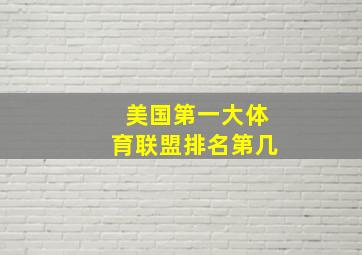 美国第一大体育联盟排名第几