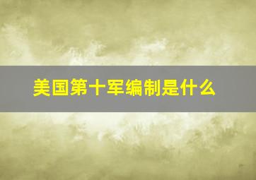 美国第十军编制是什么