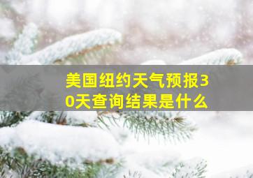 美国纽约天气预报30天查询结果是什么