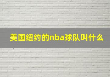 美国纽约的nba球队叫什么