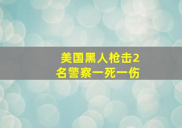 美国黑人枪击2名警察一死一伤