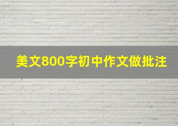 美文800字初中作文做批注