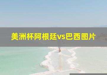 美洲杯阿根廷vs巴西图片