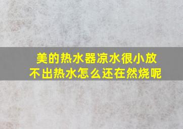 美的热水器凉水很小放不出热水怎么还在然烧呢